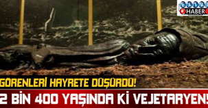 Görenleri Hayrete Düşürdü.