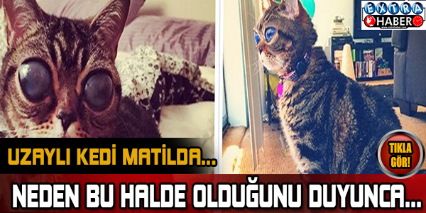 Gözleriyle sosyal medyayı salladı ama..