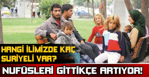 Hangi İlimizde Kaç Suriyeli Var?