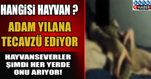 OHA ARTIK! BUNLARDAN HANGİSİ HAYVAN? ADAM YILANA TECAVÜZ EDİYOR!