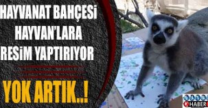 Hayvanat bahçesi, hayvanlara resim yaptırıyor..!