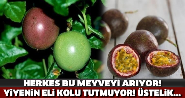 Herkes Bu Meyveyi Arıyor! Yiyenin Eli Kolu Tutmuyor ve..