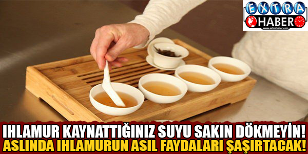 IHLAMUR KAYNATTIĞINIZ SUYU SAKIN DÖKMEYİN! ASLINDA IHLAMURUN ASIL FAYDALARI ŞAŞIRTACAK!