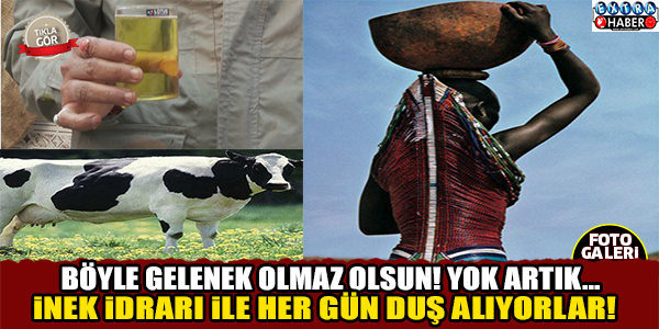 İnek idrarı ile her gün duş alıyorlar! Geleneğe bakın...