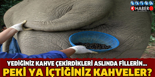 İÇTİĞİNİZ KAHVELER FİLİN...