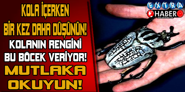ŞOK... ŞOK... ŞOK... KOLA İÇERKEN BİR KEZ DAHA DÜŞÜNÜN!