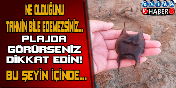 NE OLDUĞUNU TAHMİN BİLE EDEMEZSİNİZ..