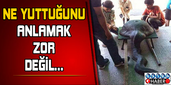 İnternette Her Gördüğünüze İnanmayın..!