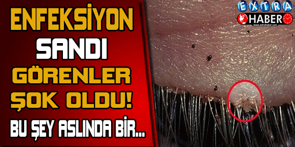 Neye uğradığını şaşırdı!