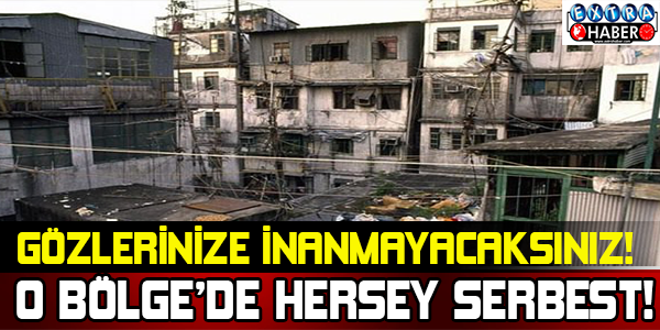 Bu Bölgede HerŞey Serbest.