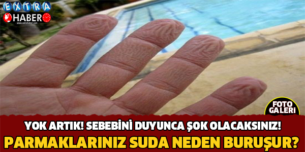 Parmaklar Suda Neden Buruşur ?