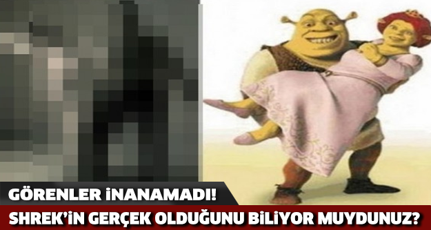 SHREK'İN GERÇEK OLDUĞUNU BİLİYOR MUYDUNUZ ? GÖRENLER İNANAMADI
