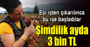 İşsiz kalınca bu işi kurdu..!