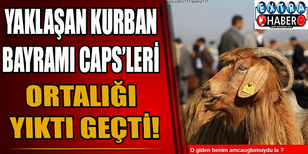 Yaklaşan Kurban Bayramı caps'leri ortalığı yıktı geçti!