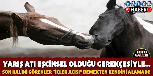 Eşcinsel olduğu gerekçesiyle 'at'...