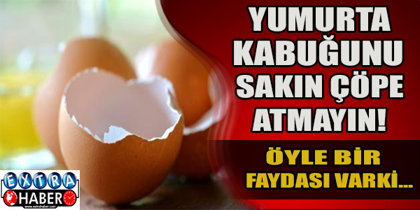 Yumurta kabuğunu sakın çöpe atmayın!