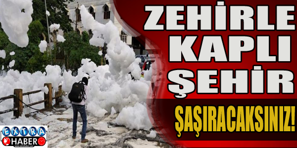 Masum görüntüsüyle zehirle kaplı şehir!