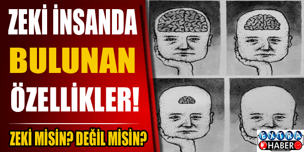 Zeki misin? Değil misin? İşte Zeki İnsanda Bulunan Özellikler!