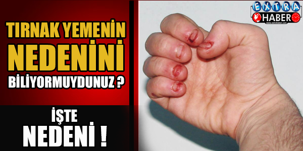 TIRNAK YEMENİN ASIL NEDENİNİ BİLİYOR MUSUNUZ?