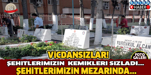 VİCDANSIZLAR... ŞEHİTLERİN MEZARINDA..!