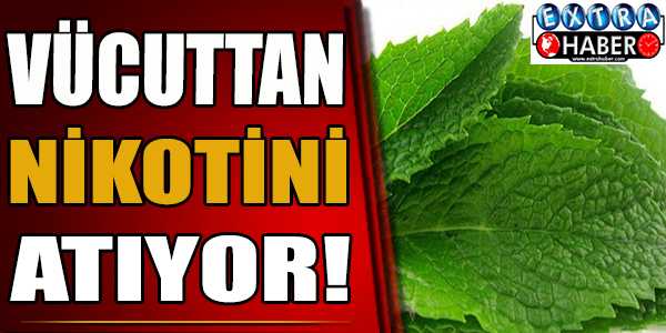 Vücuttan Nikotini Atıyor!
