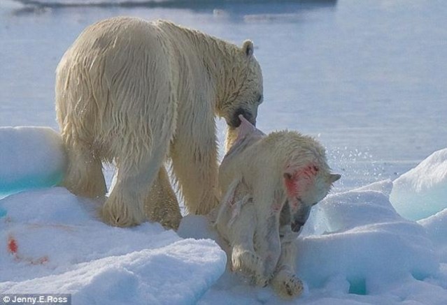 Bu fotoğraf tüm dünyayı dehşete düşürdü ! Eyvah...