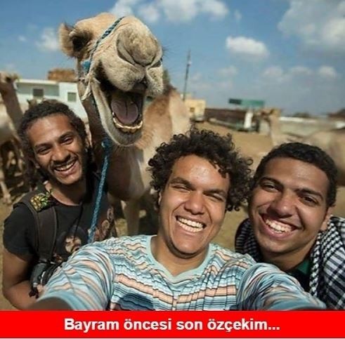 Yaklaşan Kurban Bayramı caps'leri ortalığı yıktı geçti!