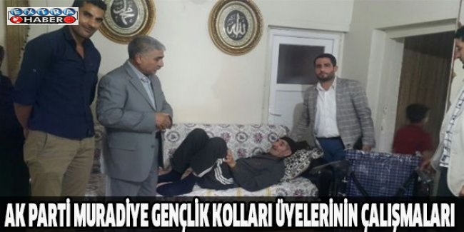 AK Parti Muradiye Gençlik Kolları üyelerinin çalışmaları