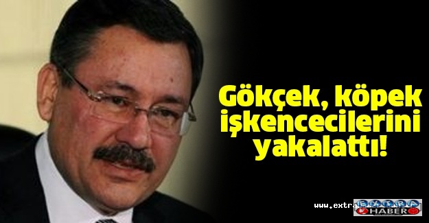 Köpeklere işkence yapanlar yakalandı..'