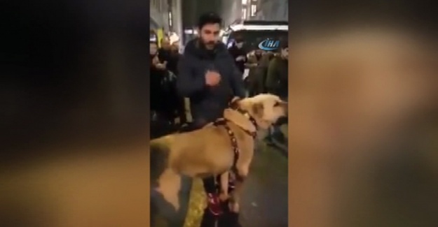 Hollanda’ya kangallı protesto
