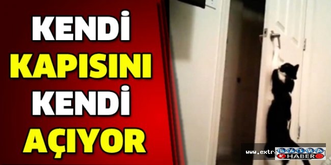 Kendi kapısını kendi açıyor