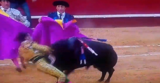 Kurban bu kez matador oldu