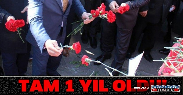 Tam 1 yıl oldu!