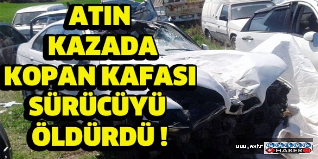 Atın kazada kopan kafası sürücüyü öldürdü !