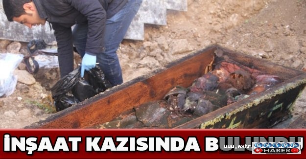İnşaat kazısında bulundu