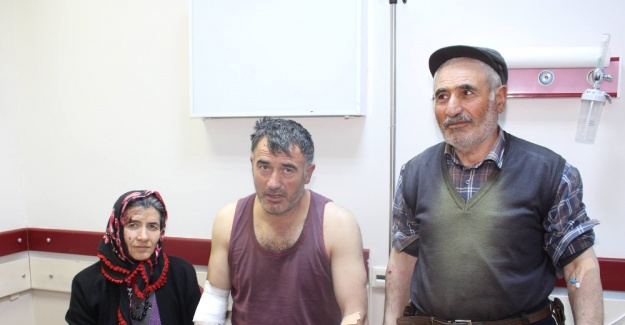 Kurt köylülere saldırdı: 4 yaralı