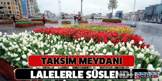 Taksim Meydanı lalelerle süslendi