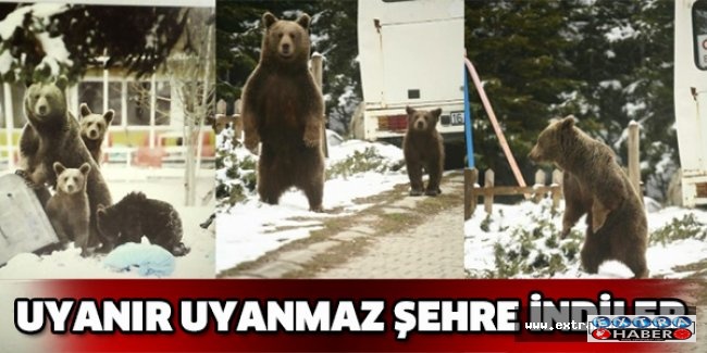 Uyanır uyanmaz şehre indiler