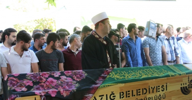 Mezarlık ziyaretinde arının soktuğu kadın öldü