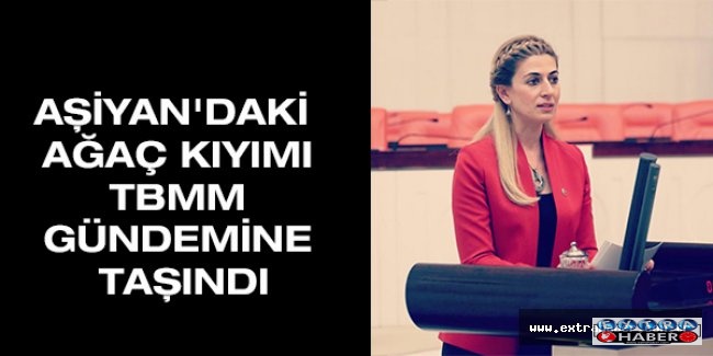 AŞİYAN'DAKİ AĞAÇ KIYIMI TBMM GÜNDEMİNE TAŞINDI