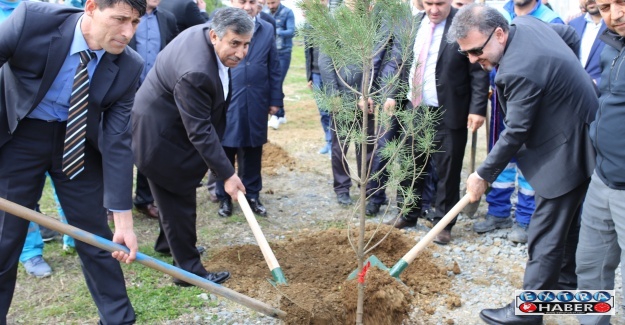 ESENYURTLU ŞEHİTLERİN ANISINA FİDAN DİKİLDİ