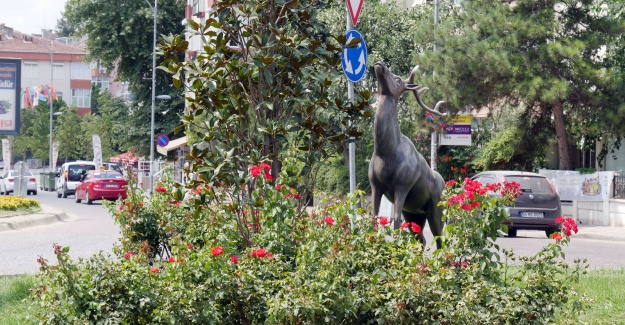 Bu Bulvar Diğerlerinden Farklı