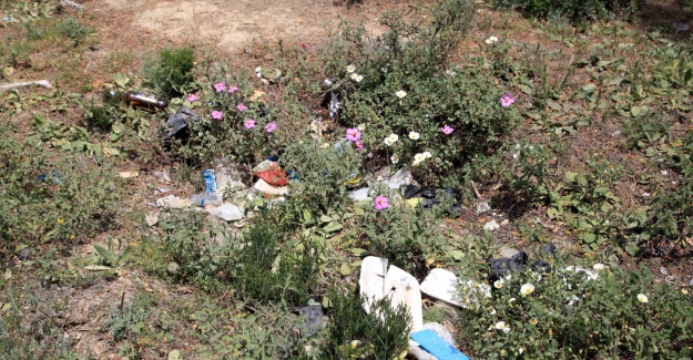 Kartal Belediyesi’nden Aydos Ormanı’nda Temizlik Çalışması