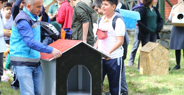 Yuvalar Şamlar Tabiat Ormanı’nda