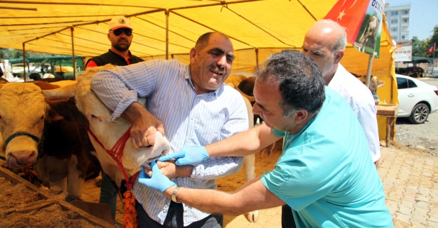 Kartal Belediyesi, Kurban Bayramı Hazırlıklarını Tamamladı
