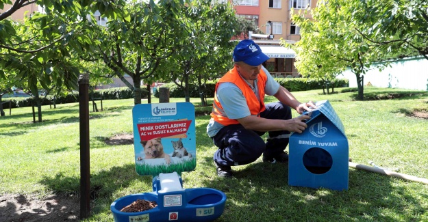 Sokak hayvanları için su ve mama hizmeti