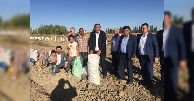 “PATATES ÜRETİCİSİ YİNE MAĞDUR”