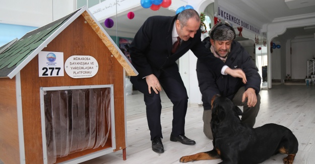 STK’lardan Örnek Davranış