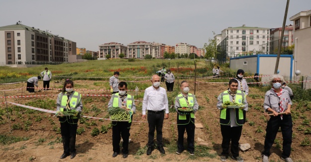 Engel tanımayan izciler meyve ve sebze yetiştirmeye başladı!