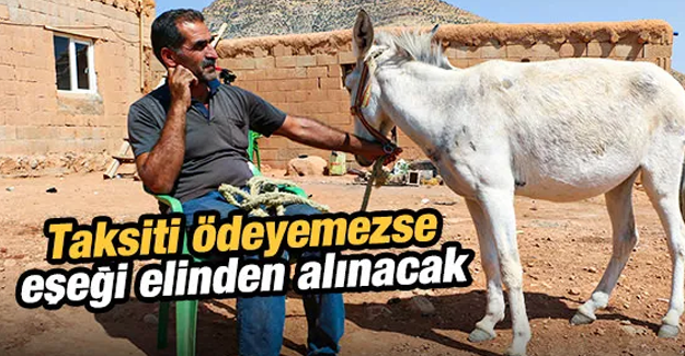 Taksiti ödeyemezse eşeği elinden alınacak